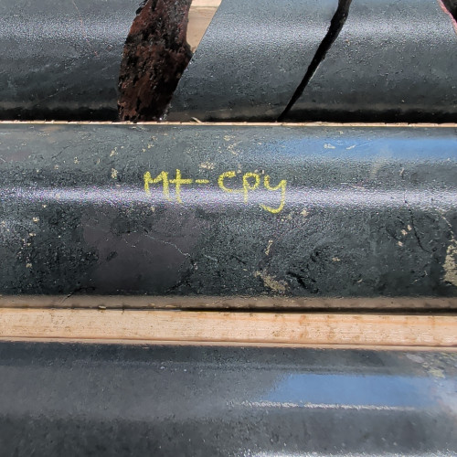 1.15% Cu, 0.055 g/t Au, 3.2 g/t Ag, 0.15% Mo from 87.65 m to 88 m