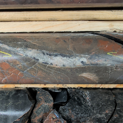 1.62% Cu, 0.043 g/t Au, 21.7 g/t Ag from 133.7 m to 134.3 m