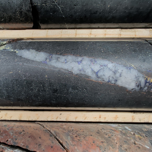 2.98% Cu, 2.55 g/t Au, 12.7 g/t Ag, 120 ppm Mo from 332.76 m to 333.2 m