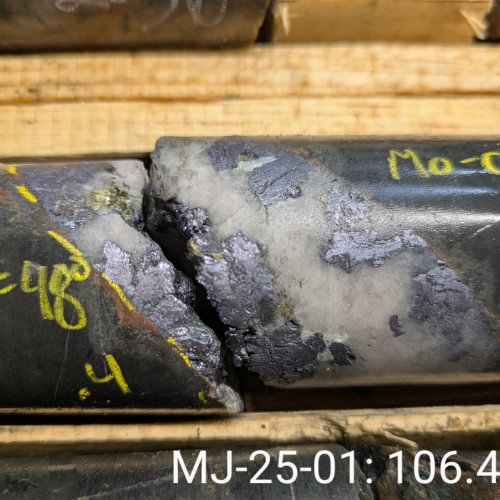 0.13% Cu, 2.65% Mo, 0.016g/t Au