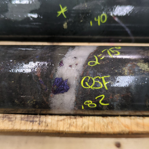 1.8% Cu, 0.347 g/t Au, 14 g/t Ag from 246.50m to 247.00m