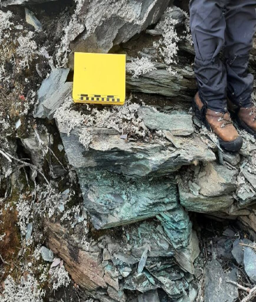 Mineralization Disseminated